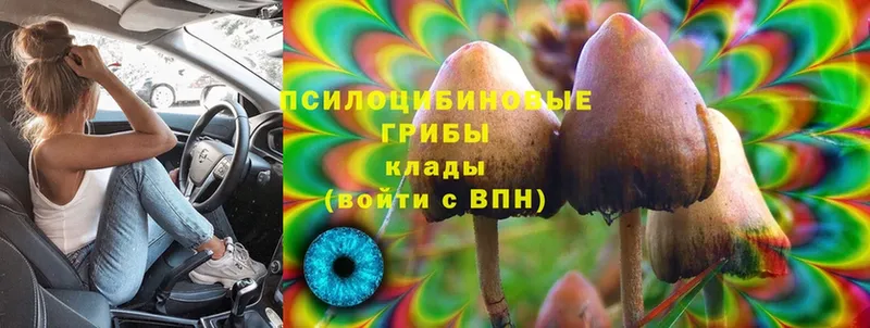 Галлюциногенные грибы MAGIC MUSHROOMS  Карталы 